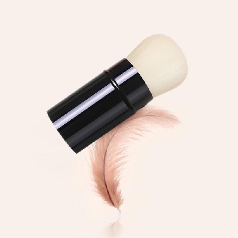 Pincel de maquiagem multifunci - My Beauty Makeup Set avaliação e preço